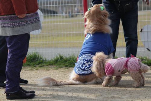 花園ドッグラン