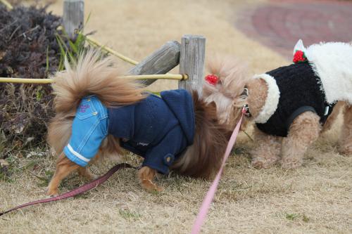 鳴尾浜公園