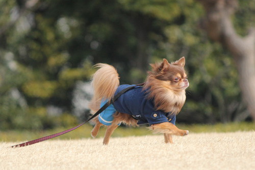 鳴尾浜公園