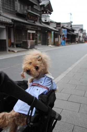 伊勢神宮おかげ横丁