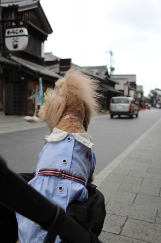 伊勢神宮おかげ横丁