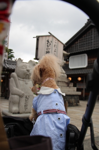 伊勢神宮おかげ横丁