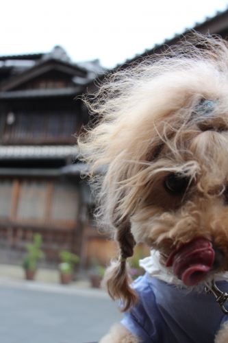 伊勢神宮おかげ横丁