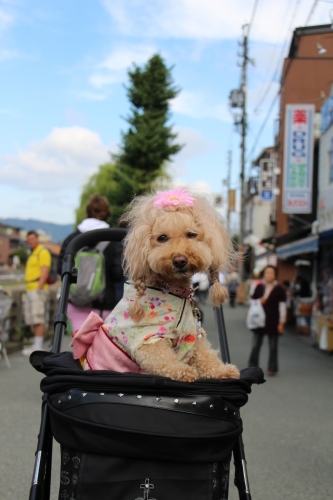 宮川朝市