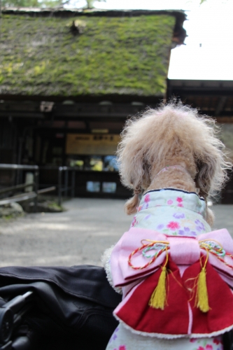 飛騨の里