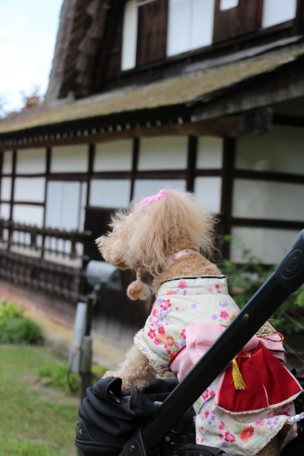 飛騨の里