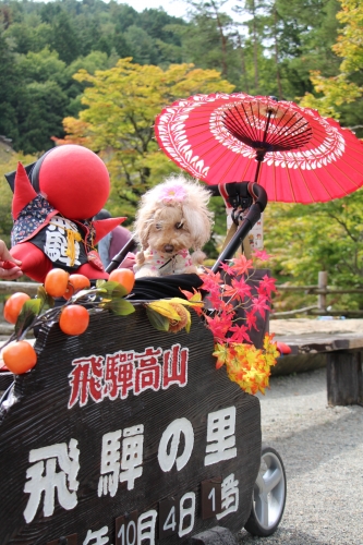 飛騨の里