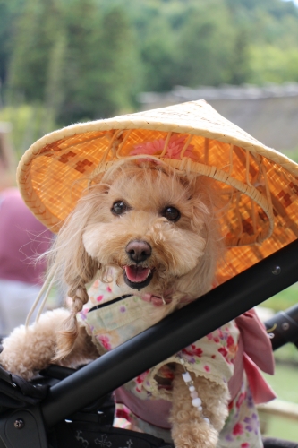 飛騨の里