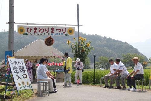 柚遊農園ひまわりまつり