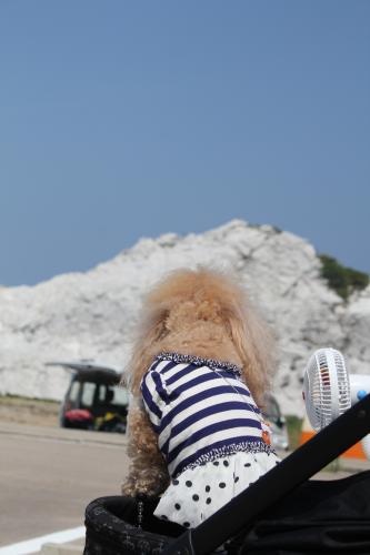 白崎海洋公園