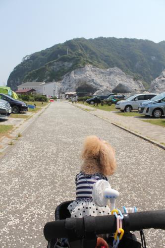 白崎海洋公園