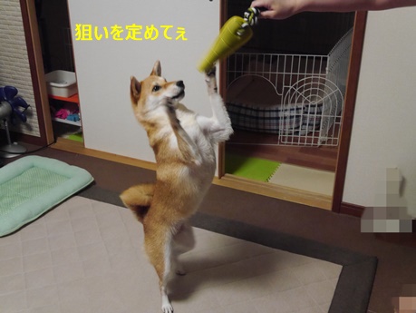 3狙って・・・