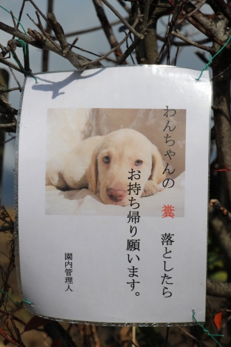 なぎさ公園