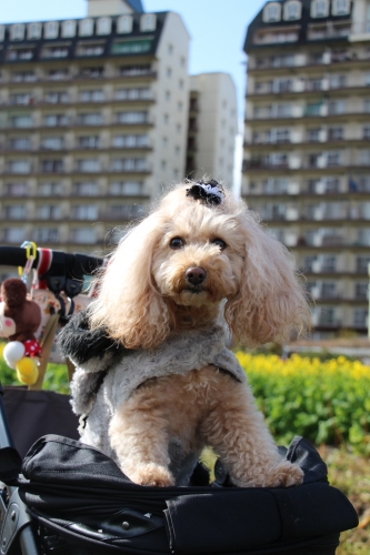 なぎさ公園