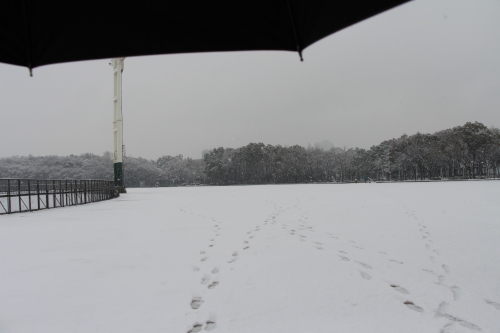 雪の大阪城