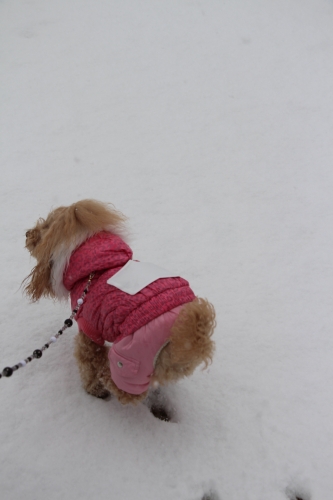 雪の大阪城