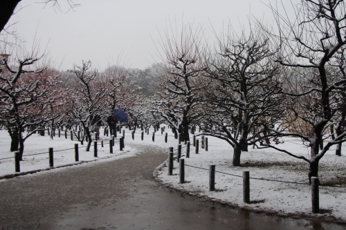 雪の大阪城