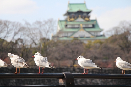 大阪城