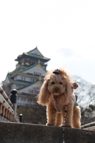 大阪城