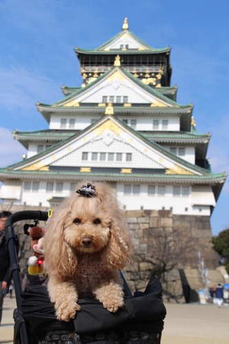 大阪城