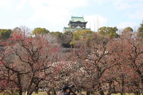 大阪城