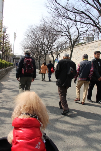 大阪城梅林