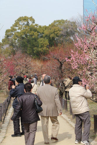 大阪城梅林