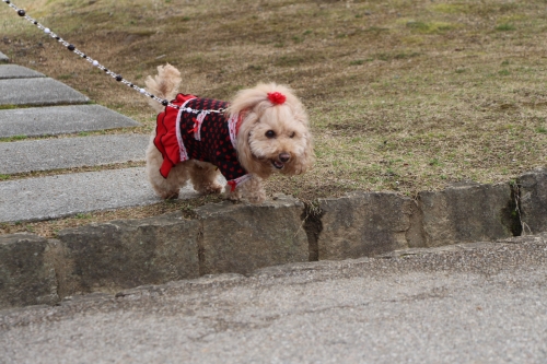 姫路城