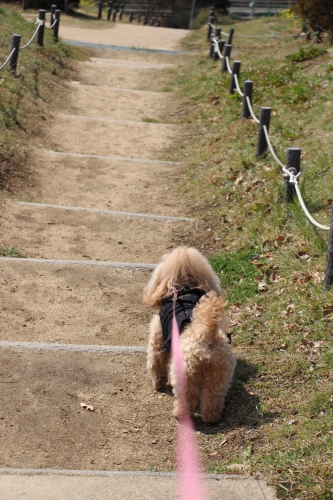 神戸総合運動公園