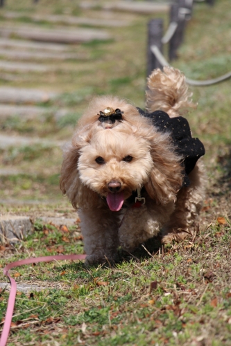 神戸総合運動公園