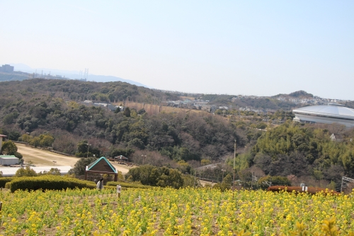 神戸総合運動公園