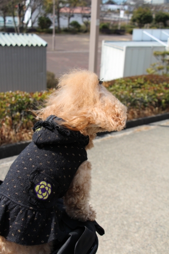 神戸総合運動公園