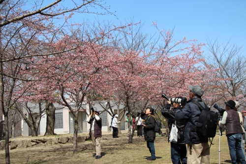 鶴見緑地