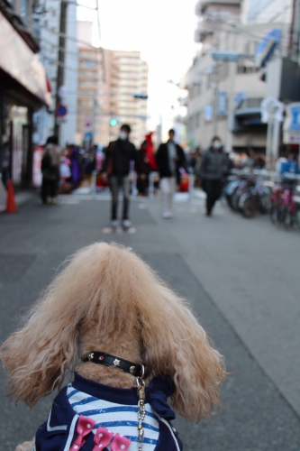 日本橋ストリートフェスタ