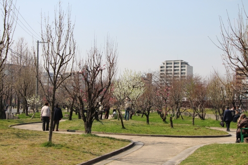 大阪城桃園