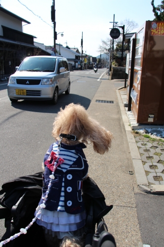 竹林の道