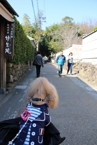 竹林の道