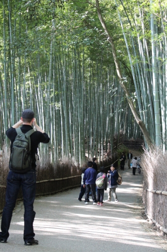 竹林の道