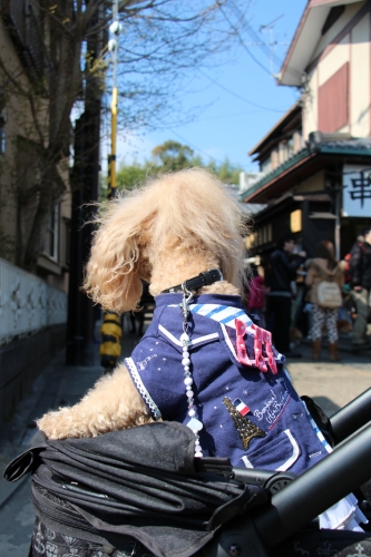 竹林の道