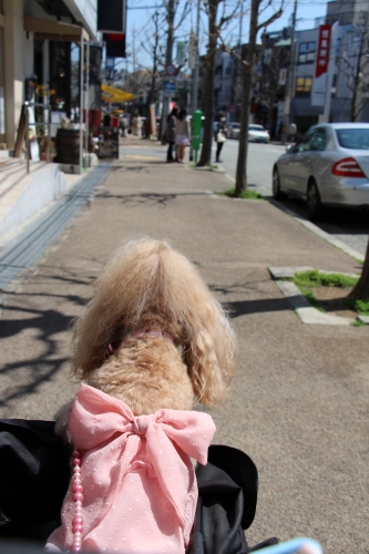 夙川公園