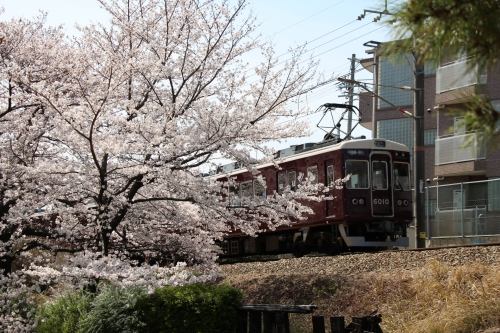 夙川公園