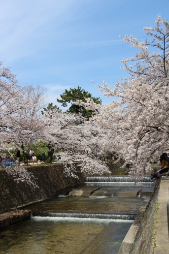 夙川公園