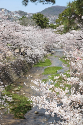 夙川公園