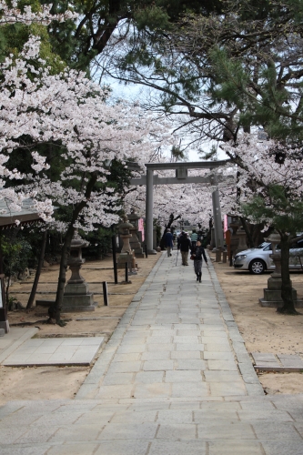 弓弦羽神社