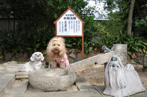 弓弦羽神社