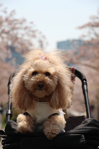 造幣局