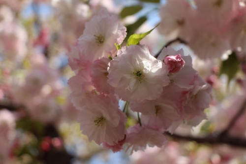 造幣局