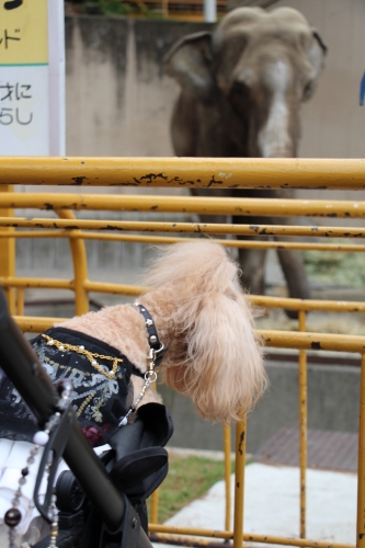 池田動物園