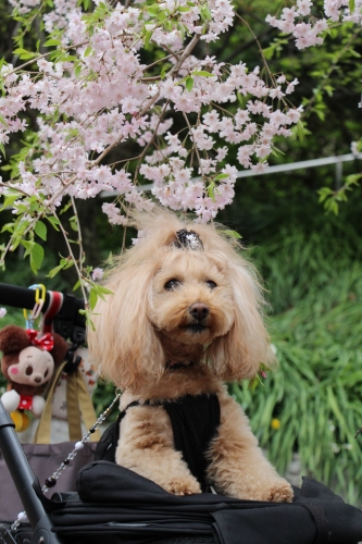 池田動物園