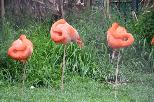 池田動物園